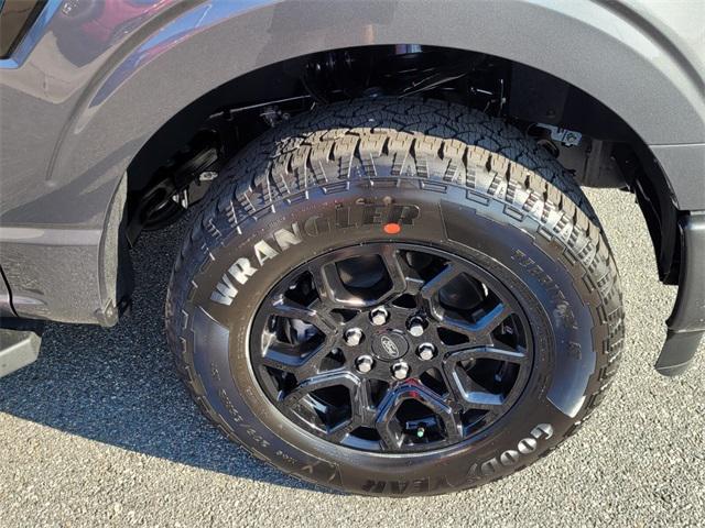 Photo of 2025 Gray Ford F-150