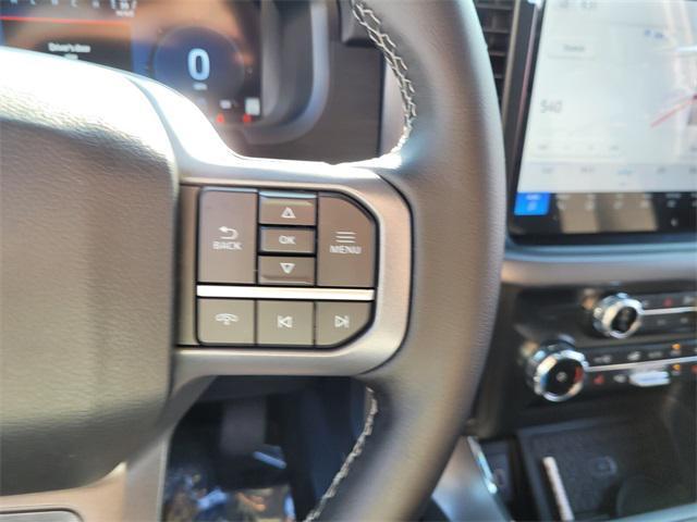 Photo of 2025 Gray Ford F-150