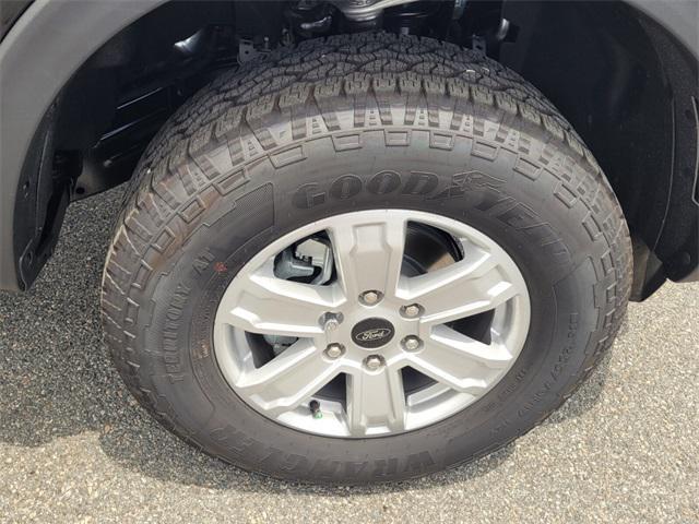 Photo of 2025 Shadow Ford Ranger