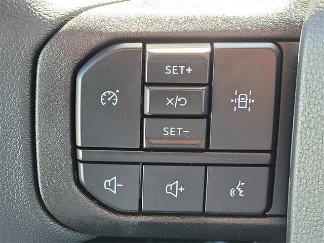 Photo of 2025 Carbonized Gray Metallic Ford F-150