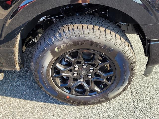 Photo of 2025 Agate Black Metallic Ford F-150