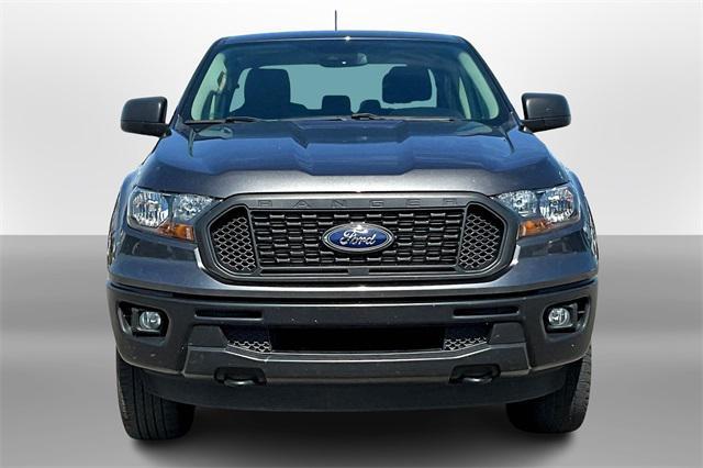Photo of 2019 Magnetic Ford Ranger
