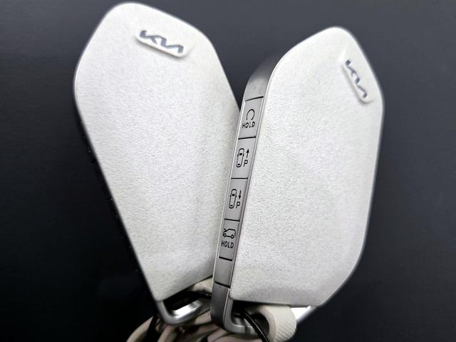 Photo of 2024 Silver Kia EV9