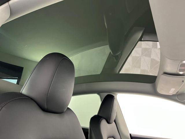 Photo of 2023 Blue Tesla Model Y