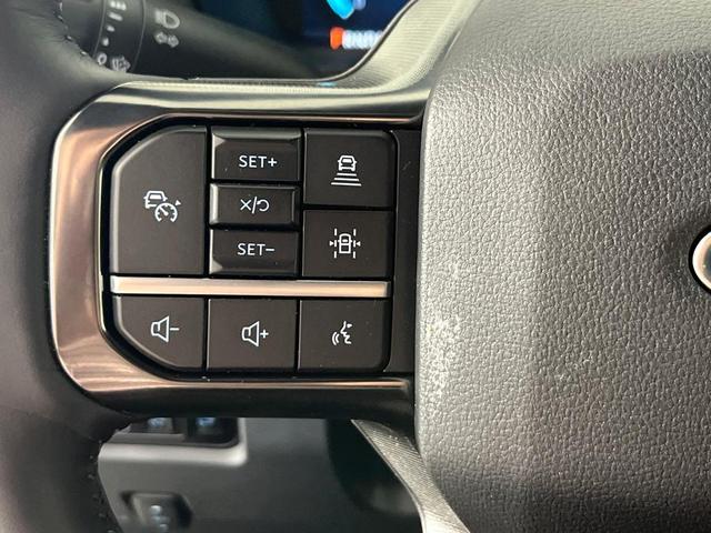Photo of 2025 Black Ford F-350