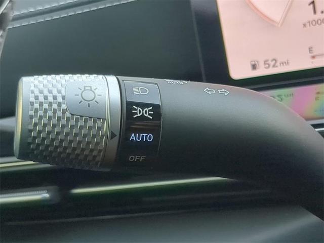 Photo of 2025 Vik Black Genesis GV80