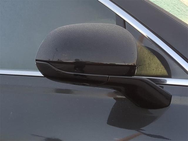 Photo of 2025 Vik Black Genesis GV80
