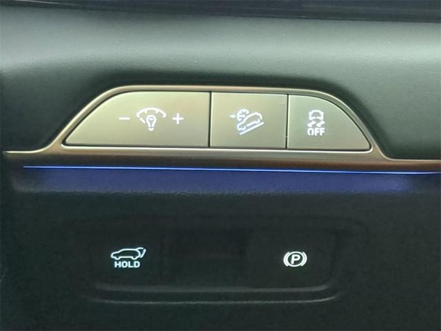 Photo of 2025 Vik Black Genesis GV80