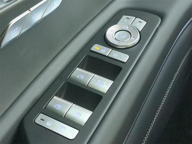 Photo of 2025 Vik Black Genesis GV80