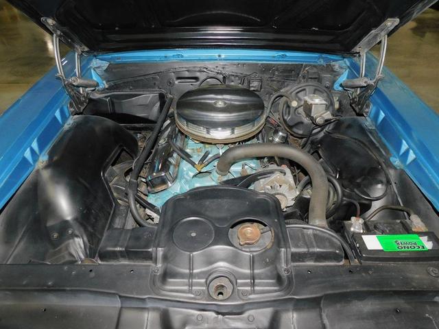Photo of 1967 Blue and White Pontiac GTO