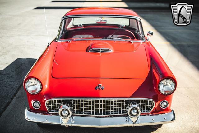 Photo of 1955 RED Ford Thunderbird