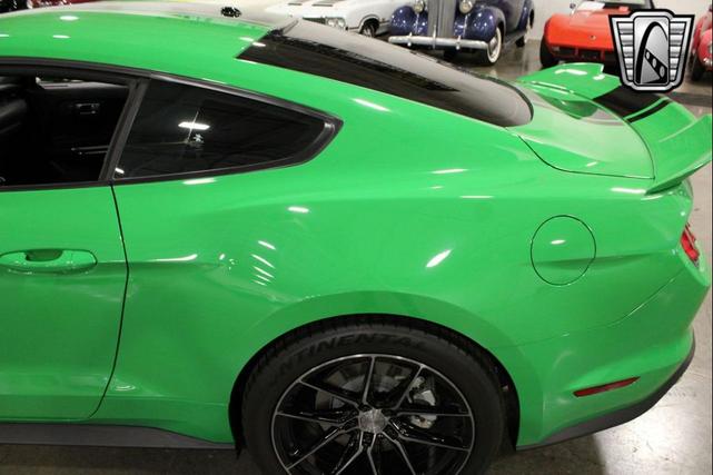 Photo of 2019 Green/Black Stripe Ford Mustang