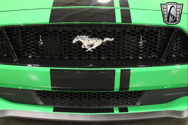 Photo of 2019 Green/Black Stripe Ford Mustang