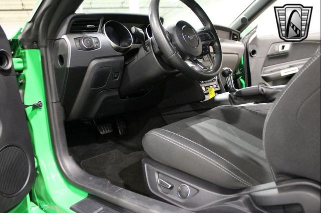Photo of 2019 Green/Black Stripe Ford Mustang