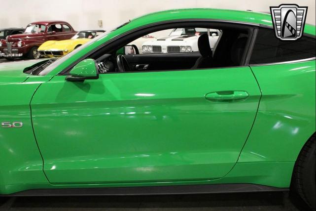 Photo of 2019 Green/Black Stripe Ford Mustang