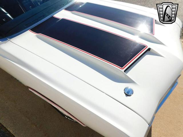Photo of 1970 White /Black Stripes Oldsmobile 442
