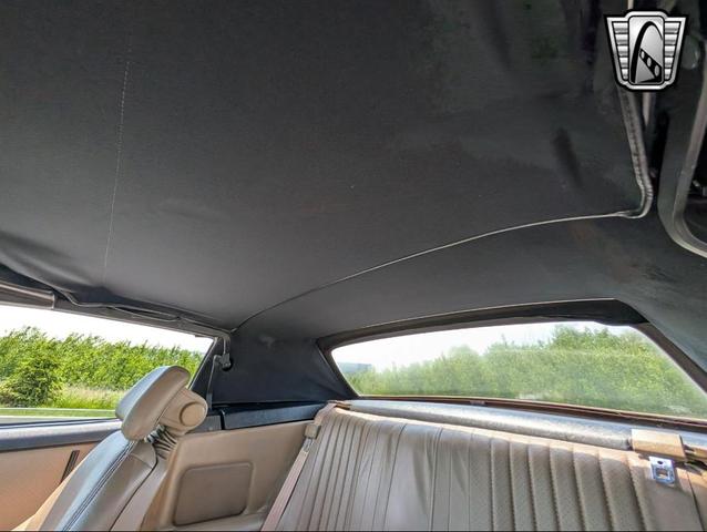 Photo of 1992 Green Pontiac Firebird