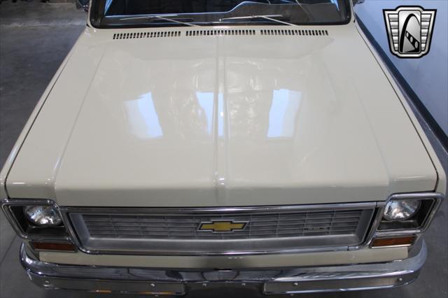 Photo of 1974 Beige Chevrolet C20/K20