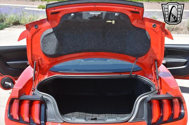 Photo of 2019 Red Ford Mustang