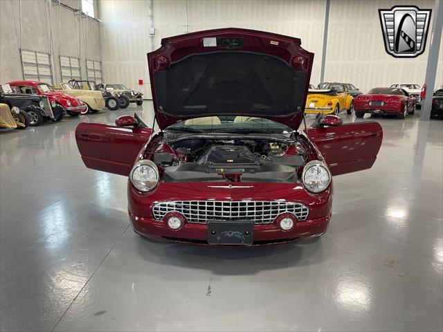 Photo of 2004 Merlot Ford Thunderbird