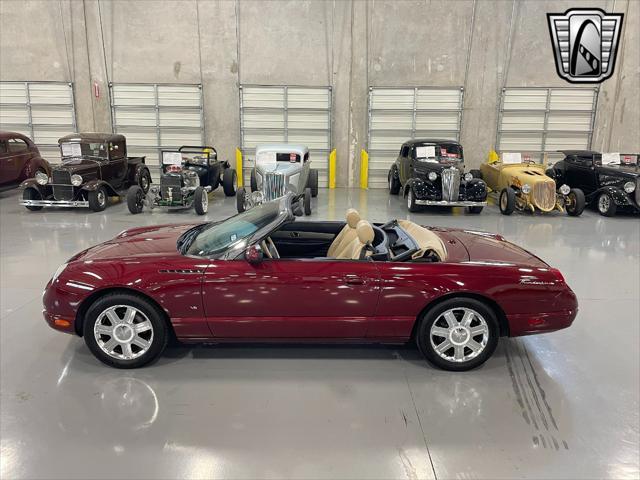 Photo of 2004 Merlot Ford Thunderbird