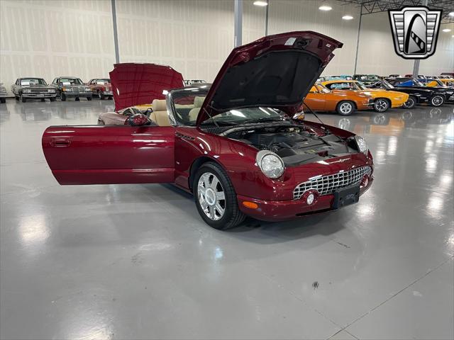 Photo of 2004 Merlot Ford Thunderbird