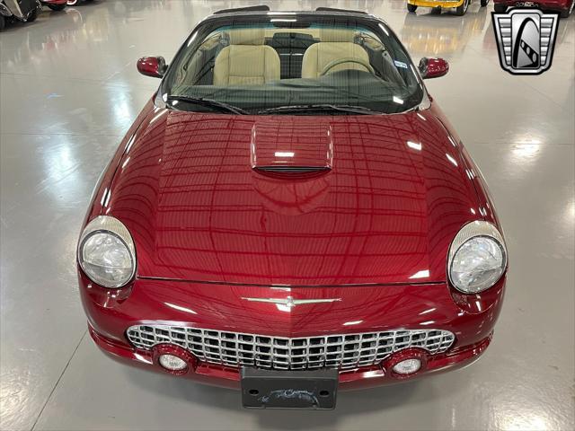 Photo of 2004 Merlot Ford Thunderbird