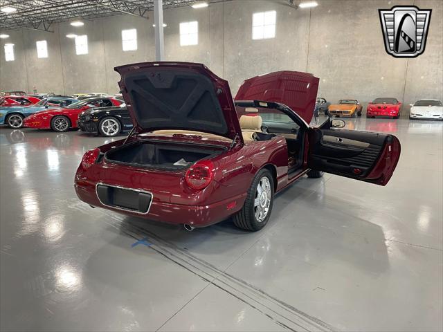 Photo of 2004 Merlot Ford Thunderbird