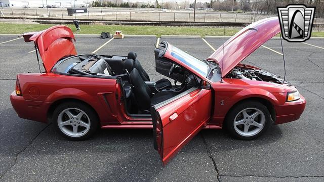 Photo of 2001 Laser Tint Red Ford Mustang