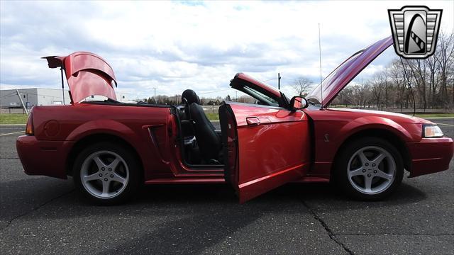 Photo of 2001 Laser Tint Red Ford Mustang