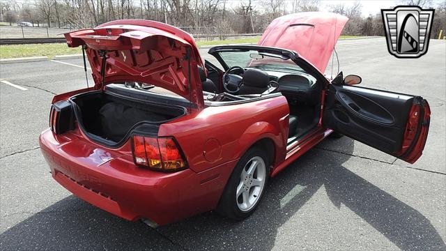 Photo of 2001 Laser Tint Red Ford Mustang
