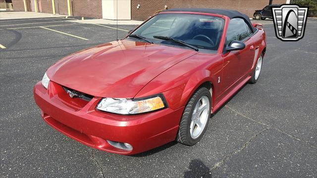 Photo of 2001 Laser Tint Red Ford Mustang