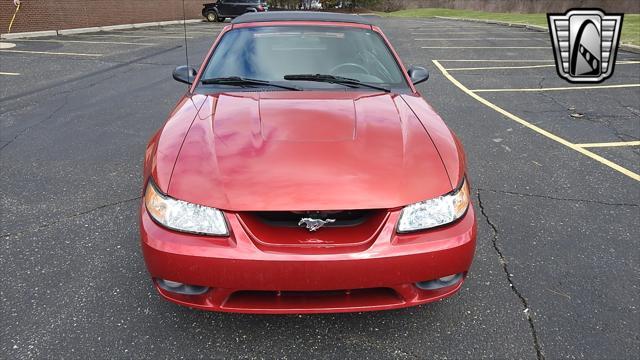 Photo of 2001 Laser Tint Red Ford Mustang