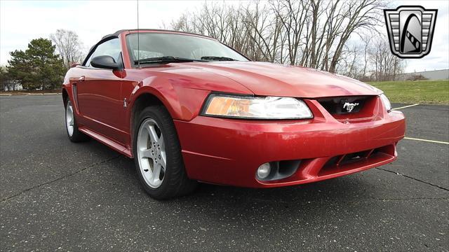 Photo of 2001 Laser Tint Red Ford Mustang