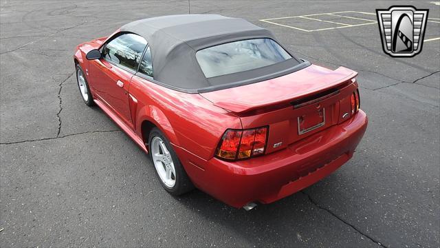 Photo of 2001 Laser Tint Red Ford Mustang