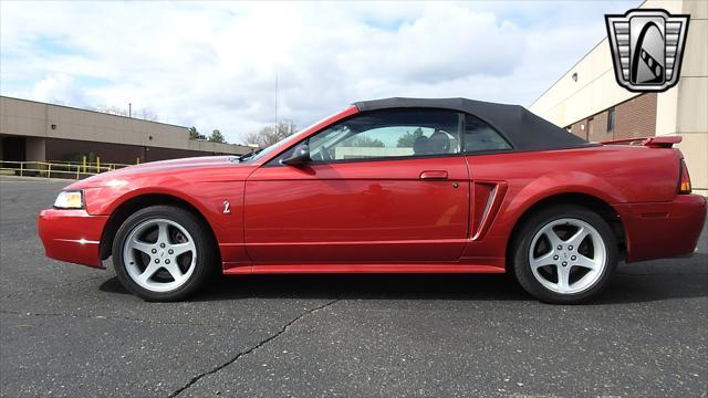 Photo of 2001 Laser Tint Red Ford Mustang