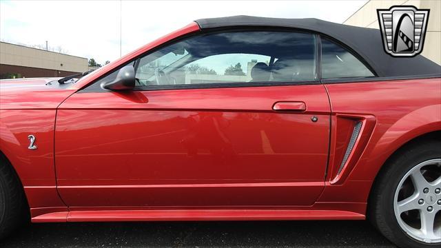 Photo of 2001 Laser Tint Red Ford Mustang