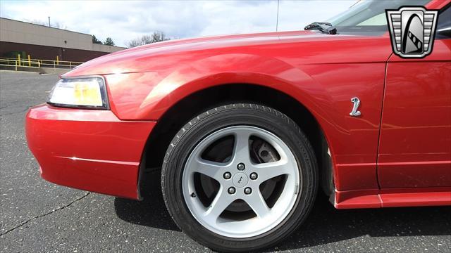 Photo of 2001 Laser Tint Red Ford Mustang