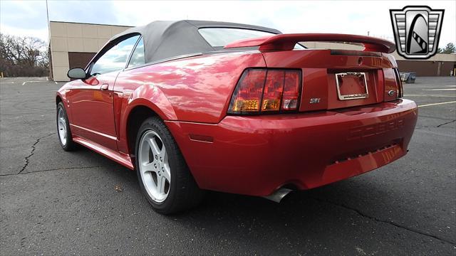 Photo of 2001 Laser Tint Red Ford Mustang