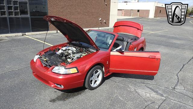 Photo of 2001 Laser Tint Red Ford Mustang
