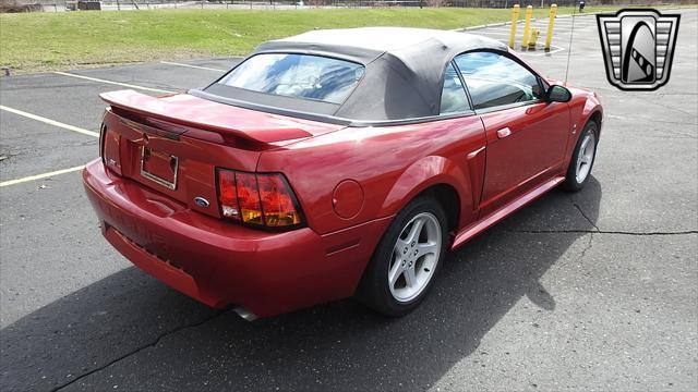 Photo of 2001 Laser Tint Red Ford Mustang