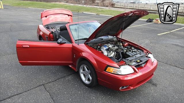 Photo of 2001 Laser Tint Red Ford Mustang