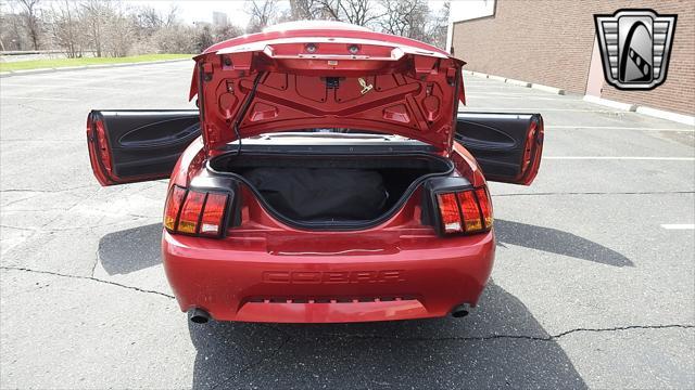 Photo of 2001 Laser Tint Red Ford Mustang