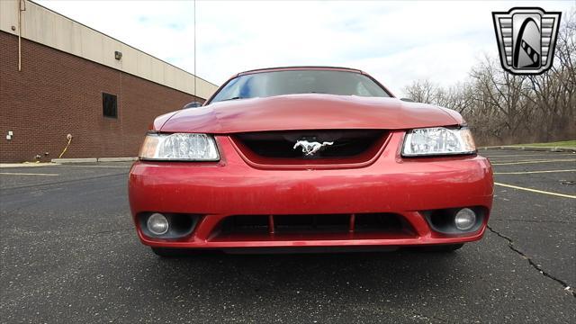 Photo of 2001 Laser Tint Red Ford Mustang