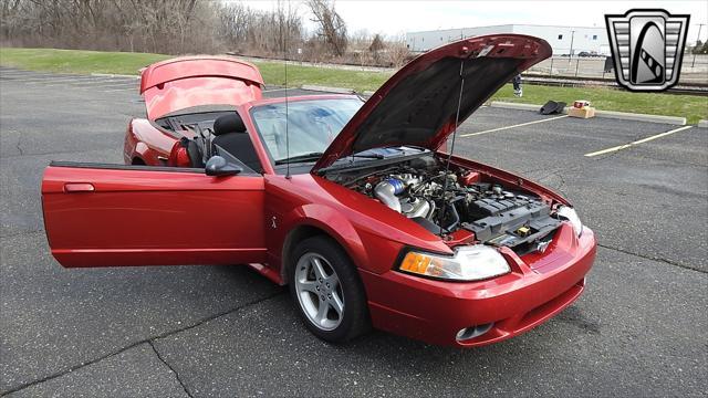 Photo of 2001 Laser Tint Red Ford Mustang