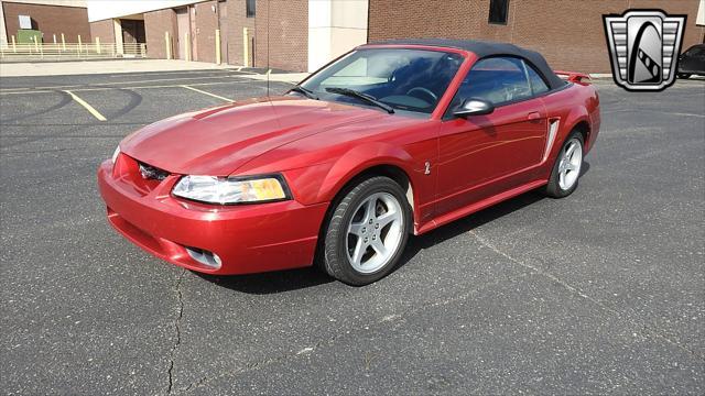 Photo of 2001 Laser Tint Red Ford Mustang