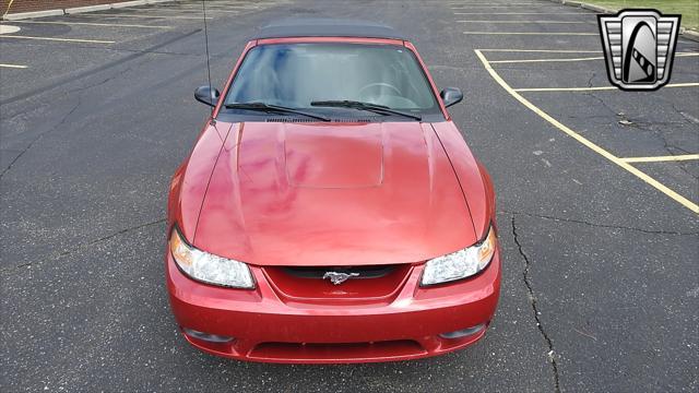 Photo of 2001 Laser Tint Red Ford Mustang