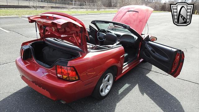 Photo of 2001 Laser Tint Red Ford Mustang