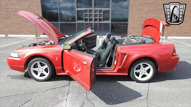 Photo of 2001 Laser Tint Red Ford Mustang