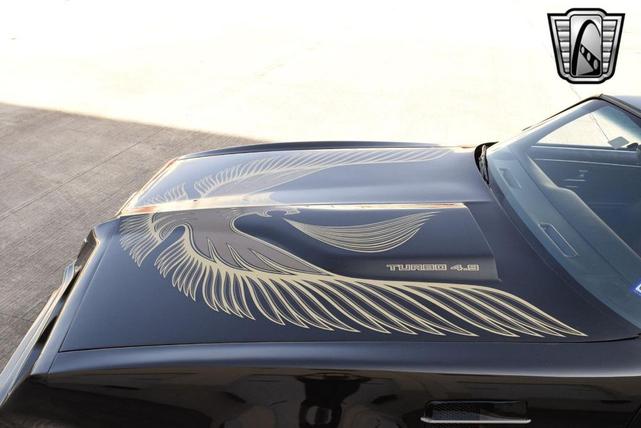 Photo of 1981 Black Pontiac Firebird